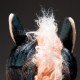Rodeo Wrestler