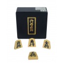 Pieces Shogi en Plastique